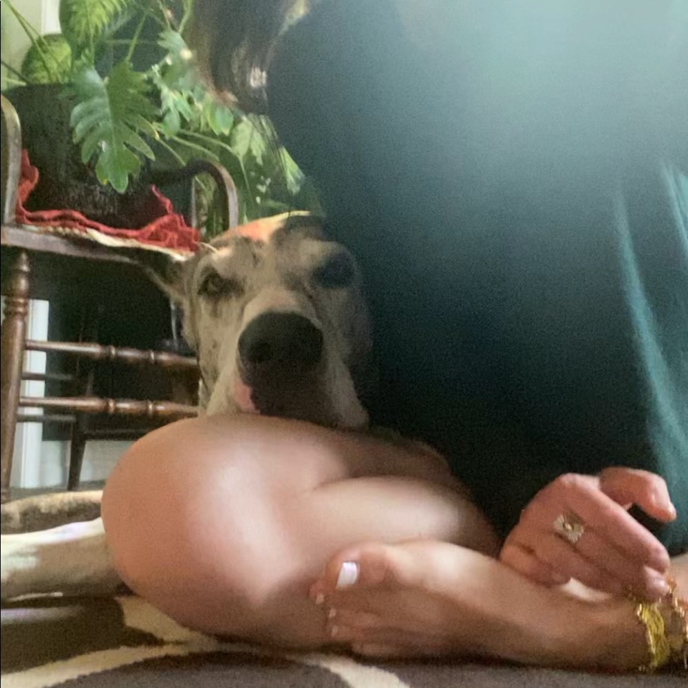 Meet your Posher, Jennifer